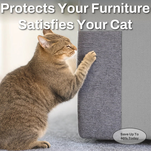 Kitty Shieldz™ Cat Scratch Protection
