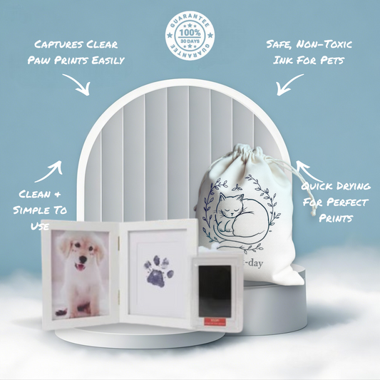 Paw Print Stamp Pad