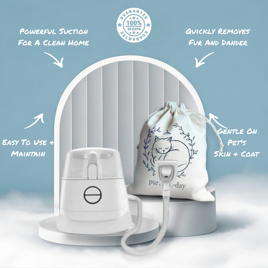 Aspirateur de toilettage professionnel