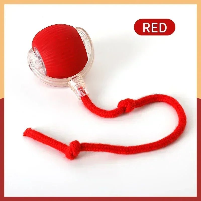 PlayPack™ – Custom Cat Toy Bundle for cats | Purrfect - day