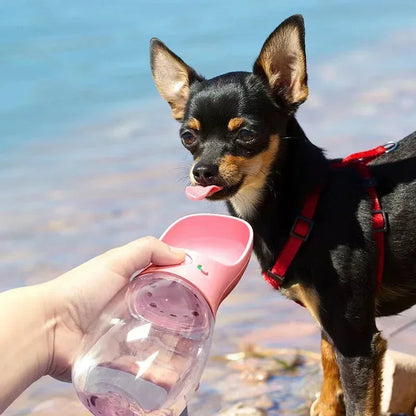 Pet Water Bottle