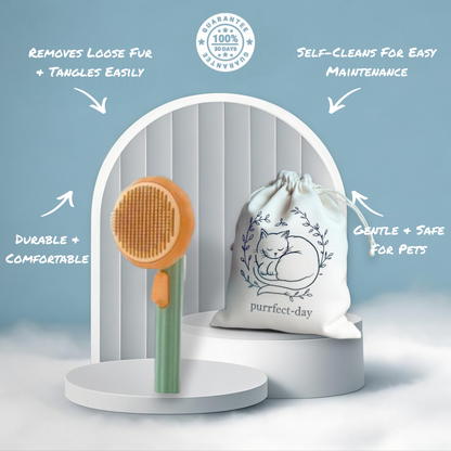 Self-Cleaning Pumpkin Brush