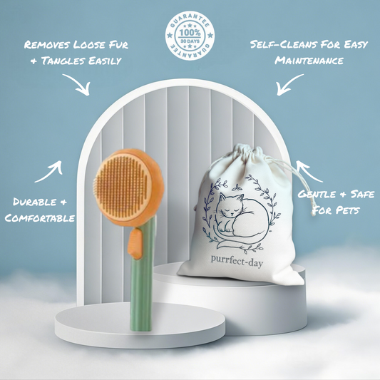 Self-Cleaning Pumpkin Brush