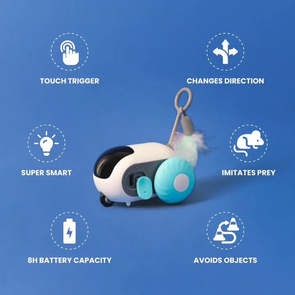 TURBO TAIL 2.0 for cats | Purrfect - day