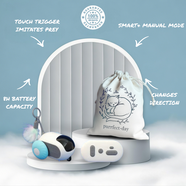 Turbo Tail 2.0: The Ultimate Performance Upgrade