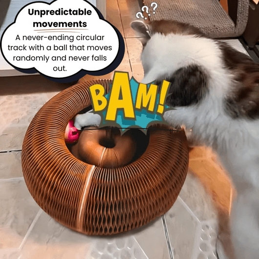 KittySpin™ | 2 - in - 1 Scratcher & Ball Track for cats | Purrfect - day
