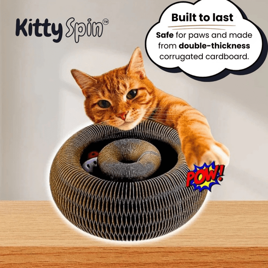 KittySpin™ | 2 - in - 1 Scratcher & Ball Track for cats | Purrfect - day