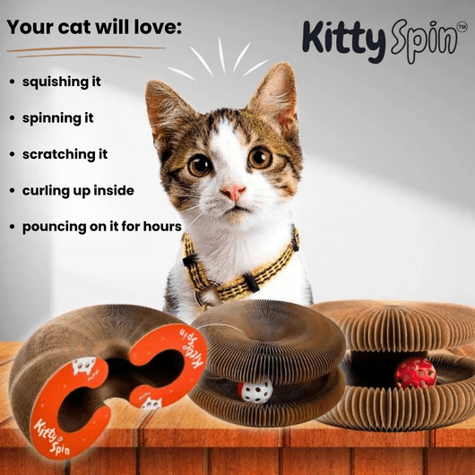 KittySpin™ | 2 - in - 1 Scratcher & Ball Track for cats | Purrfect - day