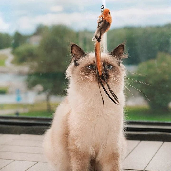 Self - Play Hunting Motion for cats | Purrfect - day