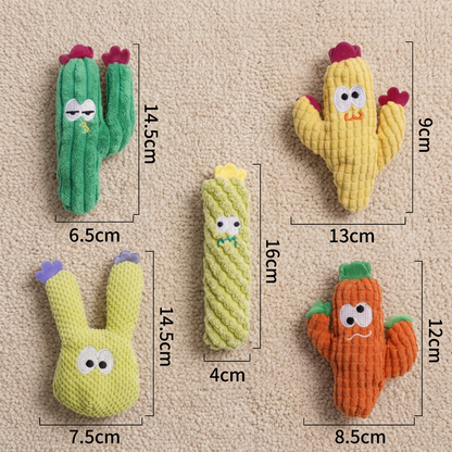 Five cactus catnip plush toy shapes with dimensions