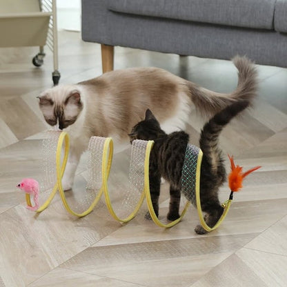 Two cats exploring the Coil Chase open spiral toy