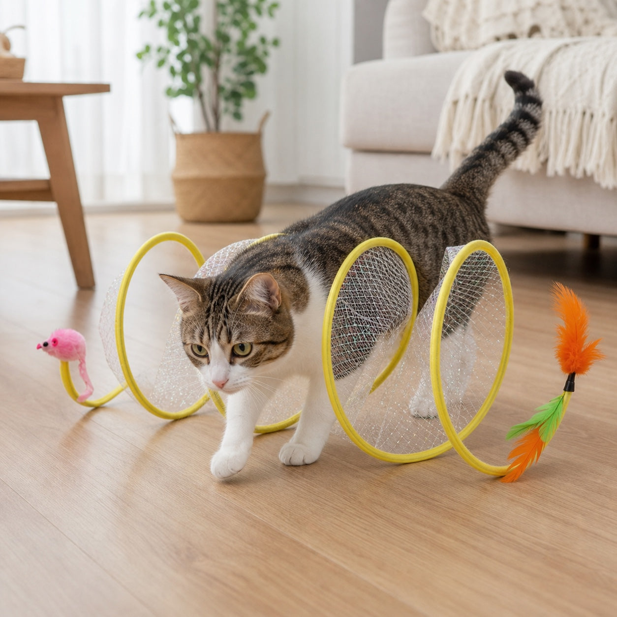 Tabby cat walking through Coil Chase in a bright home