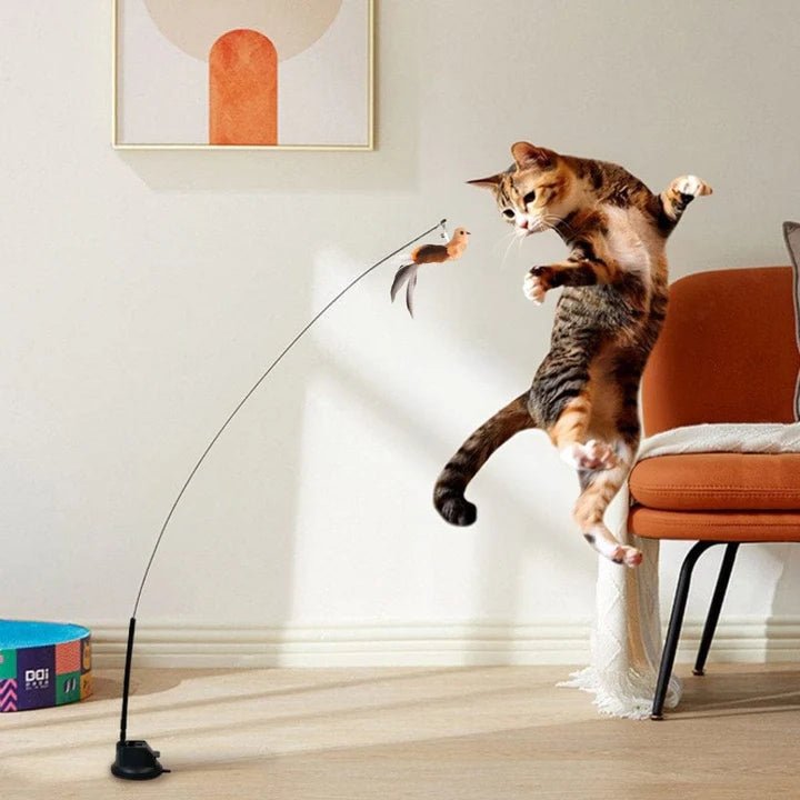 Self - Play Hunting Motion for cats | Purrfect - day