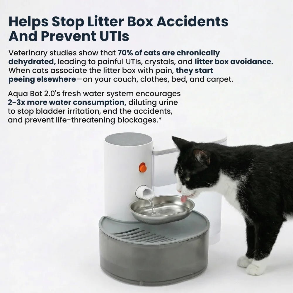 Aqua Bot 2.0 | Filter - Free Cat Water Fountain for cats | Purrfect - day