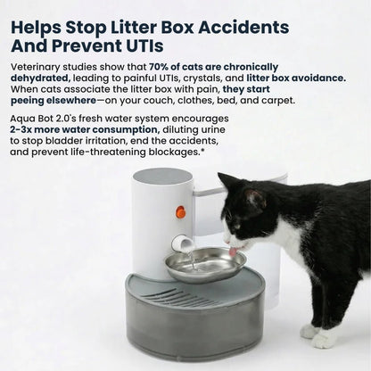 Aqua Bot 2.0 | Filter - Free Cat Water Fountain for cats | Purrfect - day