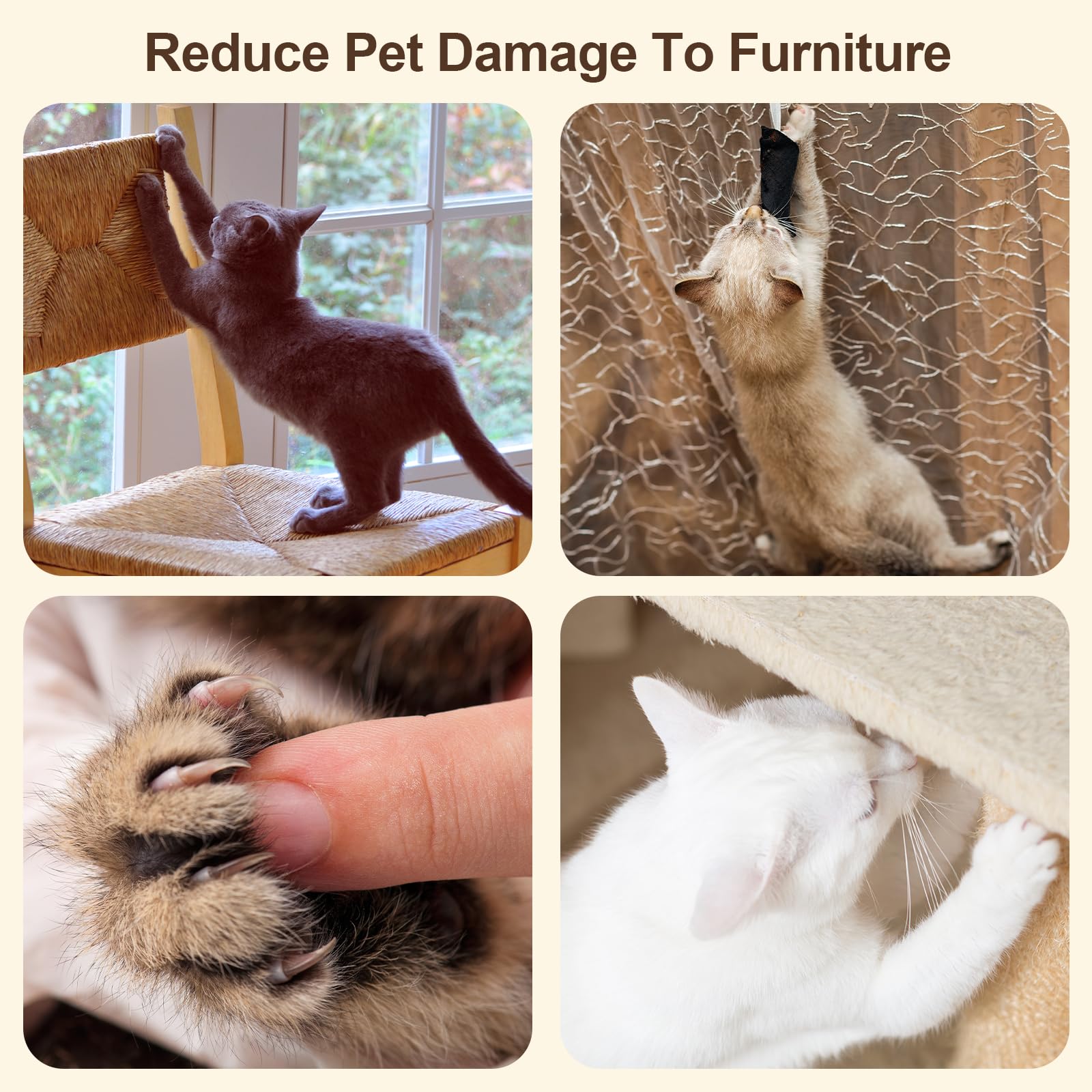 TimberClimb™ Cat Activity Tower for cats | Purrfect - day