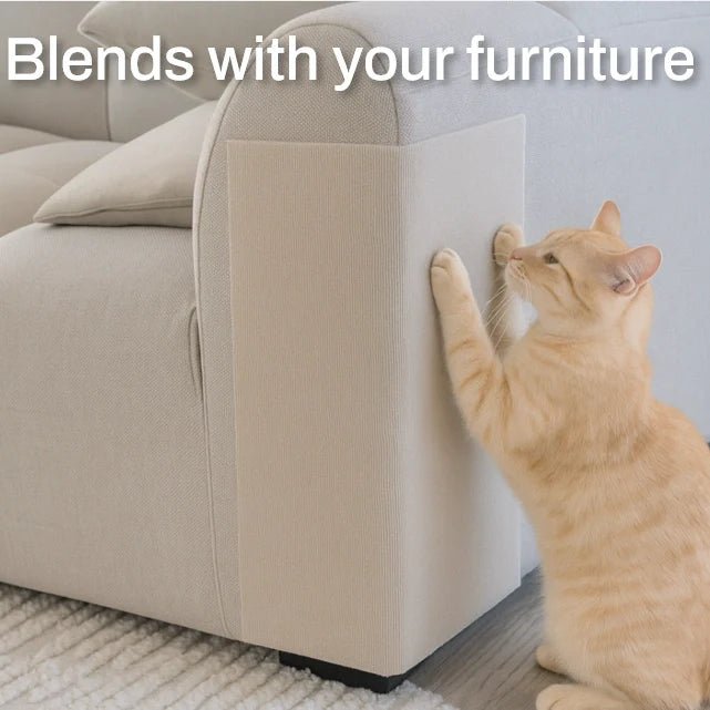 Cat Scratch Protection for cats | Purrfect - day