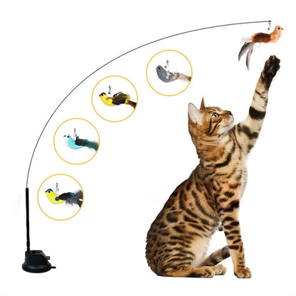 Self-Play Hunting Motion