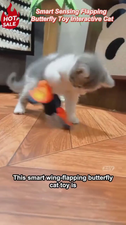 Cat tapping and batting the FlutterBloom flapping butterfly toy