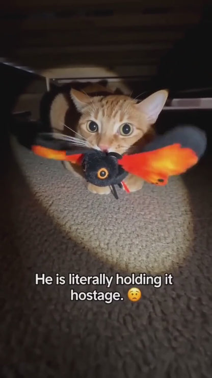 Cat stalking and pouncing toward the FlutterBloom butterfly toy