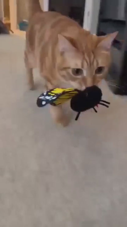Cat carrying the FlutterBloom flapping butterfly toy