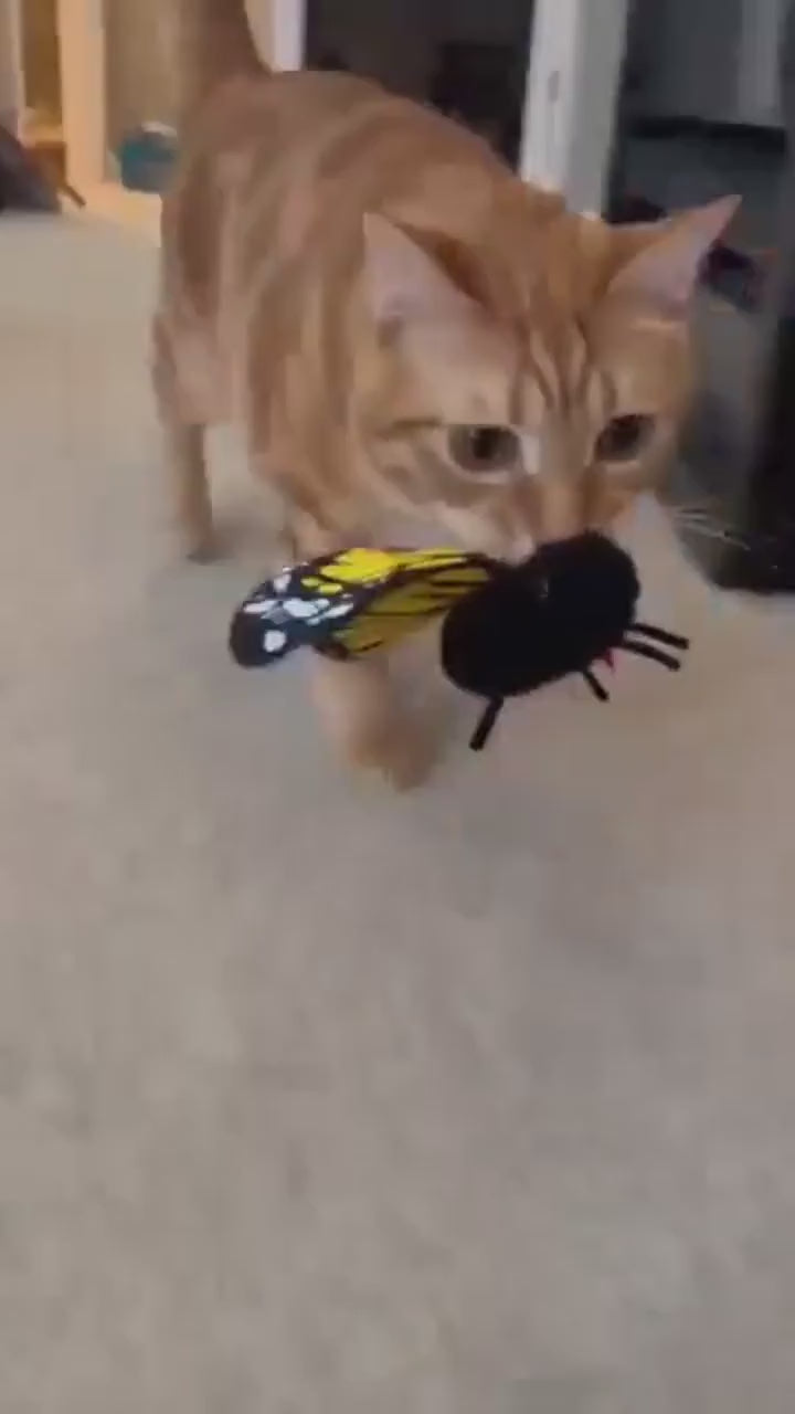 Cat carrying the FlutterBloom flapping butterfly toy
