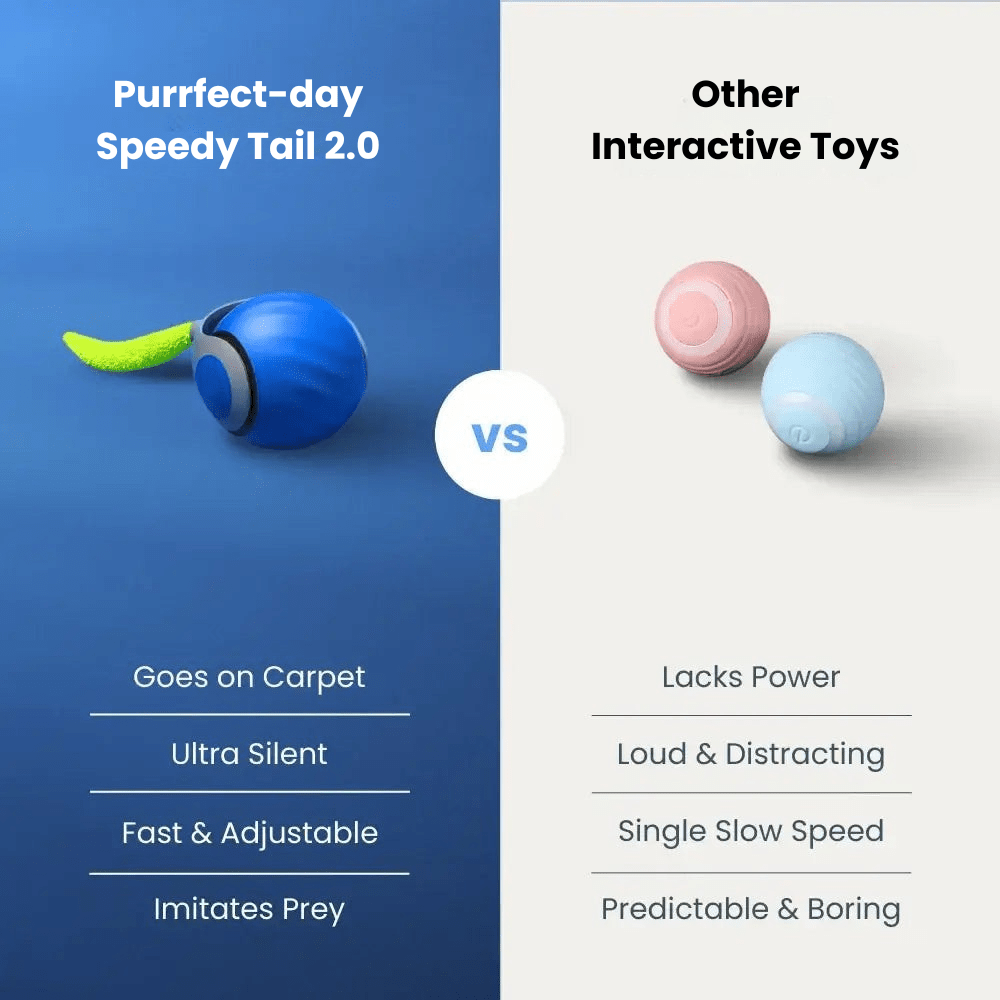 SPEEDY TAIL 2.0 for cats | Purrfect - day