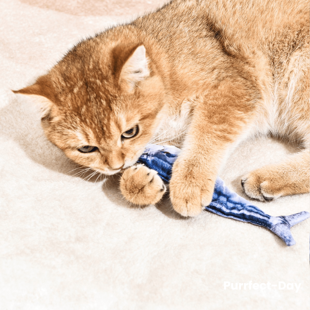 Floppy Fish Mini™ for cats | Purrfect - day