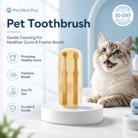 Pet Toothbrush