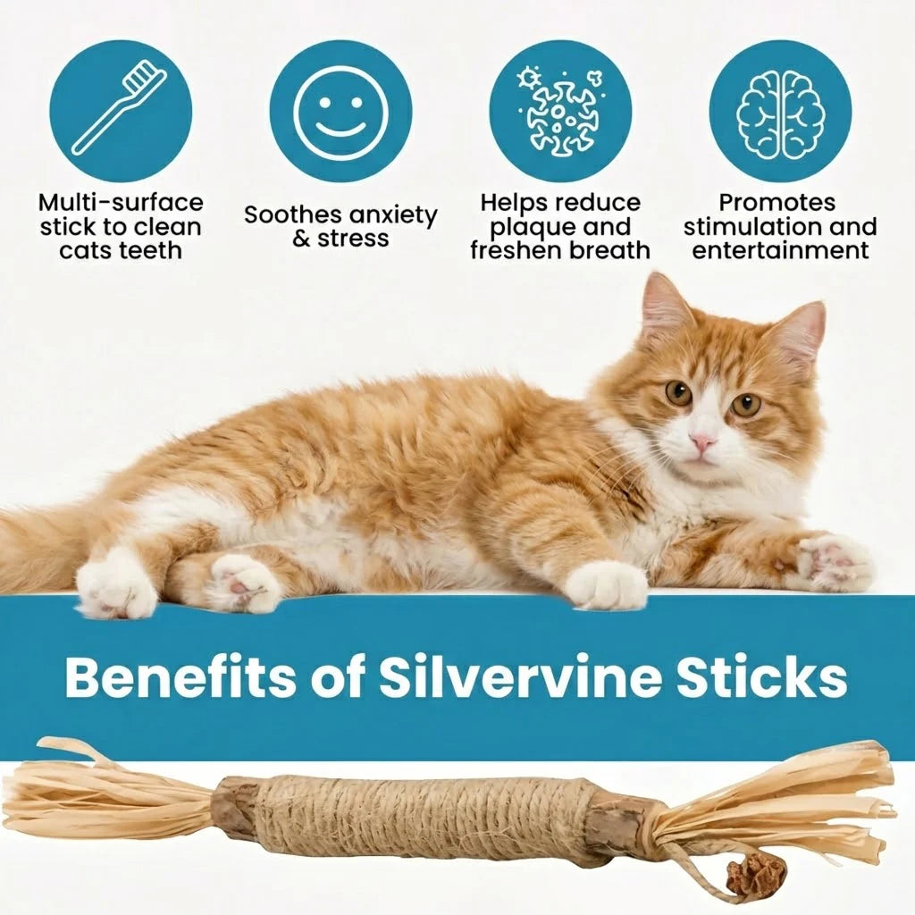 Natural Silvervine Dental Sticks