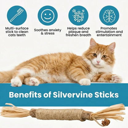 Natural Silvervine Dental Sticks