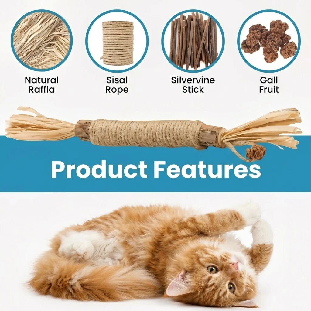 Natural Silvervine Dental Sticks for cats | Purrfect - day