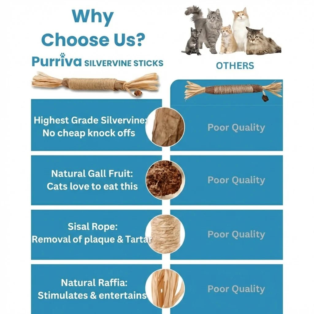 Natural Silvervine Dental Sticks for cats | Purrfect - day