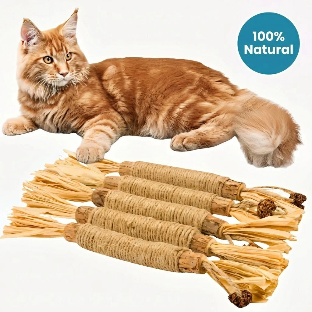Natural Silvervine Dental Sticks for cats | Purrfect - day
