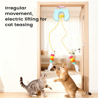 Two cats watching YoYo Chase move beneath a doorway mount